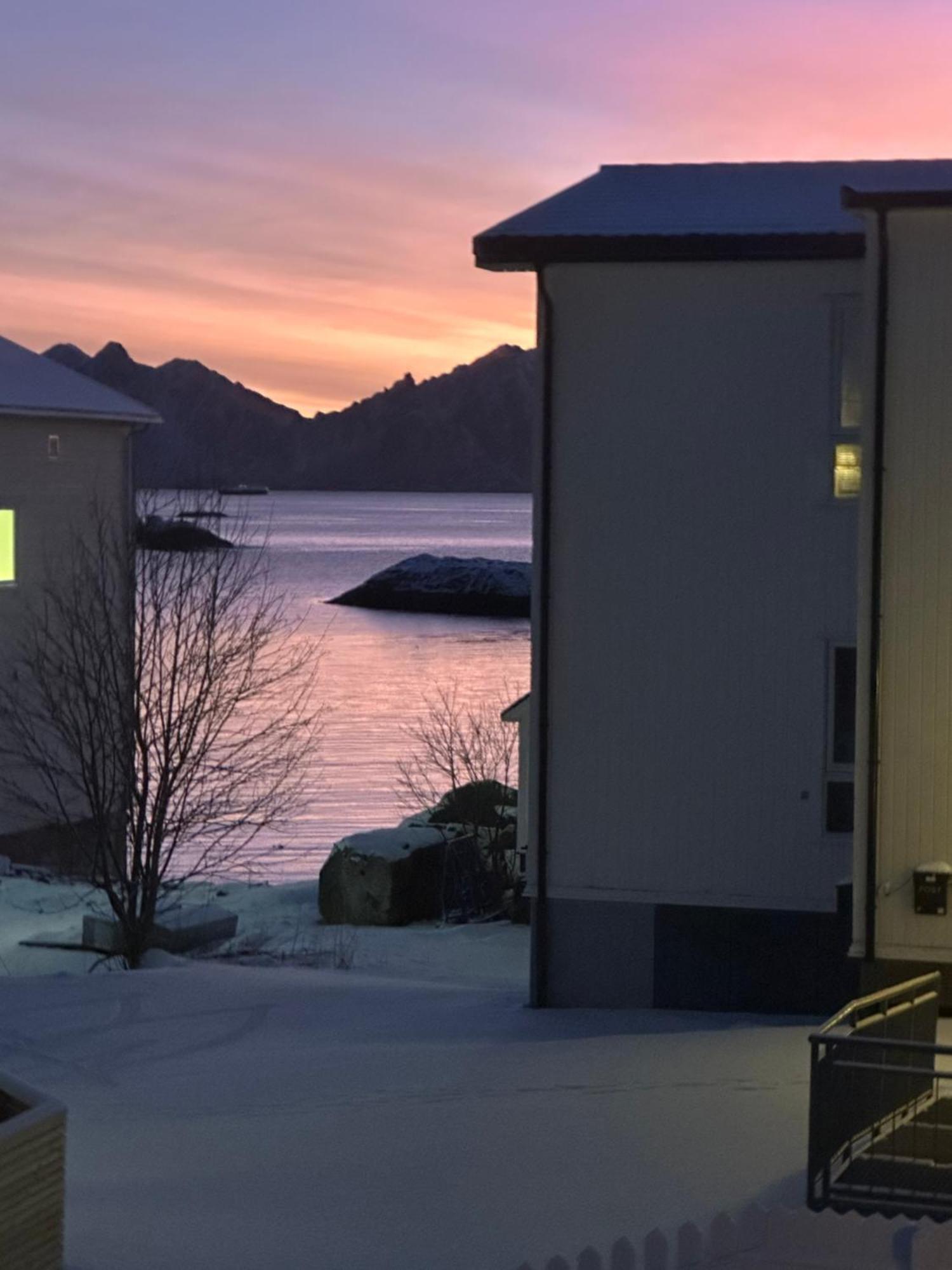 Koselig Hus Naert Havet I Lofoten, Kabelvåg Екстериор снимка