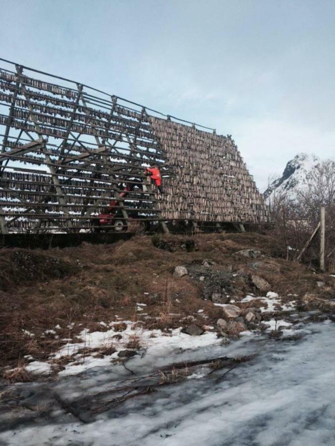 Koselig Hus Naert Havet I Lofoten, Kabelvåg Екстериор снимка